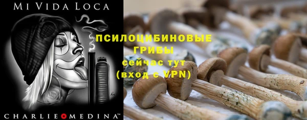 меф Горно-Алтайск