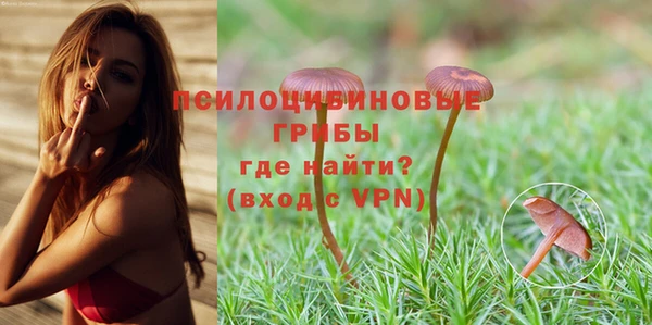 меф Горно-Алтайск