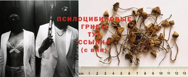 марки nbome Горняк
